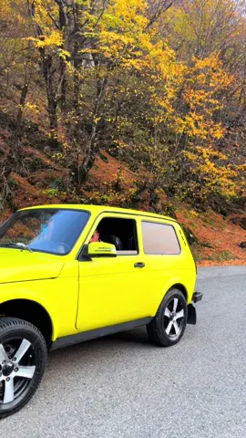 #ismayıllı #31bg675 #niva #keşfet 