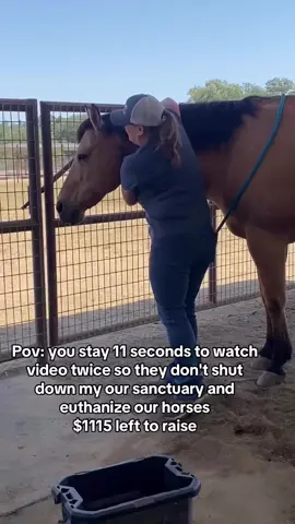 POV: You stay 11 seconds watch this video twice so they don't shut down my our sanctuary and euthanize our horses $1115 left to raise. #HorseShelter #HorsePlus #DynamicDuo #ADOPTED #EndBigLick #Endanimalabues #JusticeForTWH #