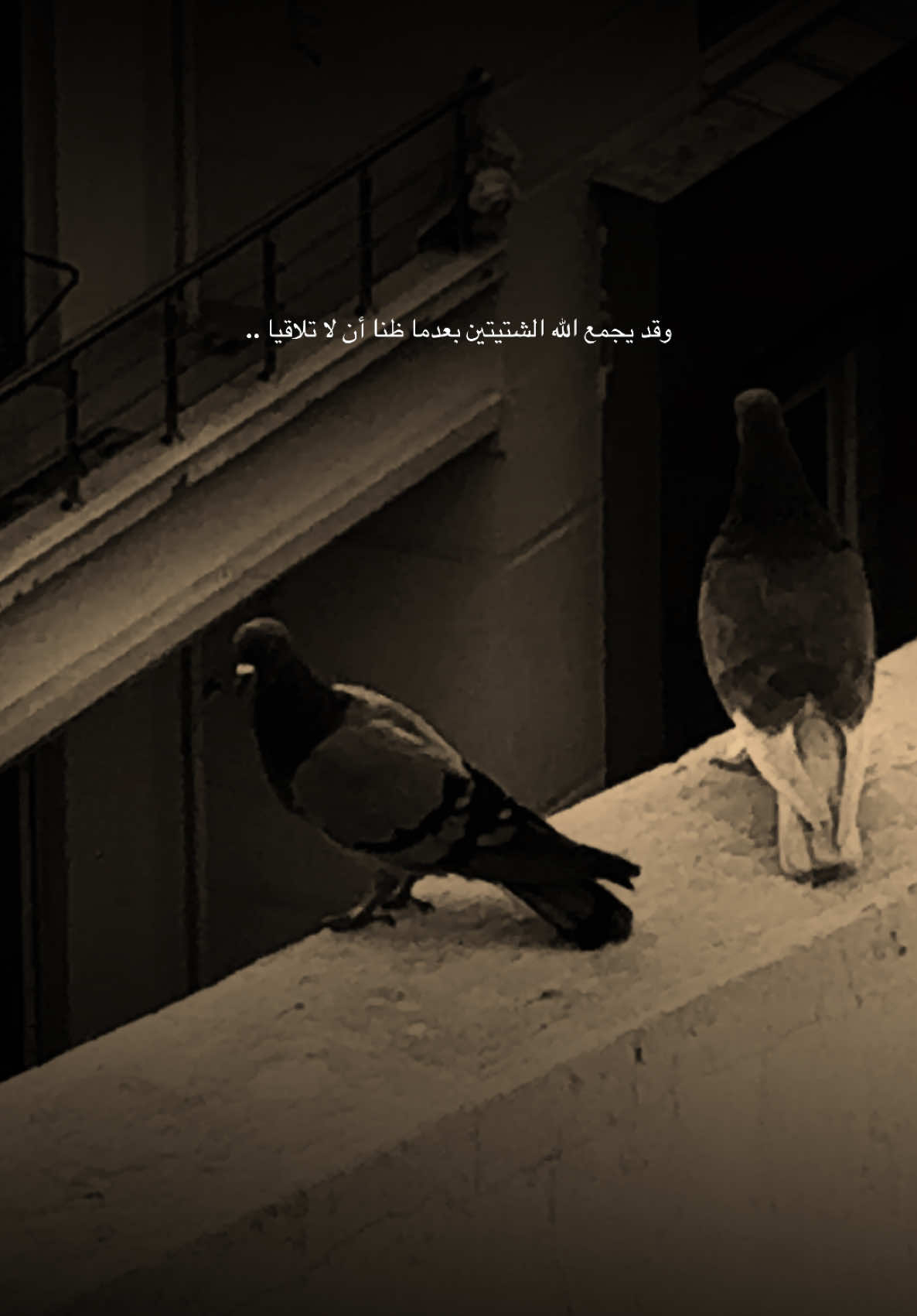 يقول قيس بن الملوح: «وقد يجمع الله الشتيتين بعدما ظنا أن لا تلاقيا».❤️‍🩹 #تصوير #الاسكندرية #شتاء #شعر #شعروقصايد 