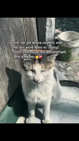 যতটা সস্তা তুমি আমাকে ভেবেছিলে, ততটা সস্তা কোন কালেই ছিলাম না। শুধুমাত্র তোমার ভালোবাসা পাওয়ার আর্তনাদেই আমি বেহায়া হয়েছিলাম!!😊❤️‍🩹#foryou #foryoupage #sadstatus #ariyan__rifat13 #fpy @TikTok @tiktok creators @TikTok Bangladesh 