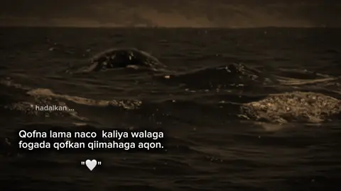 self respect 🙂 #fypviral #fyシviral #maahiz #foryou #foryoupage 