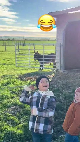 Uite ce Pwla are magaru ala🤣  #haha #funnyvideo #babysiu #hahaha😂😂😂 