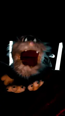 Weihnachtsmarkt ... #Musik #Sound #Puschel #HomburgSaar #Saarland 