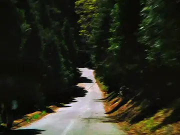 Oh, Aaron.. | #creep #creep2 #thecreeptapes #creeptapesseason2 #fyp 