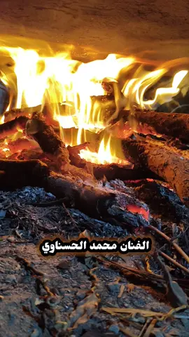 #مواويل_عراقية_حزينه💔 #محمد_الحسناوي #موال_ريفي #موال_ريفي_ونين #جرب_صوتك_وسمعنى_الصوت_الحلو_❤😇✌ @الفنان محمد الحسناوي 