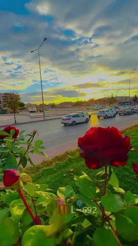 #عباراتكم_الفخمه📿📌 #قونيا_تركيا #قونيا_علاءالدين #تابعوني_انستا_ml_692🥀 #تصويري📷قونية 