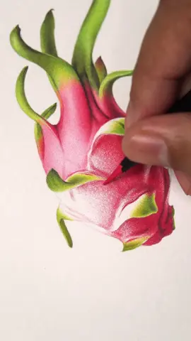 Exercício de realismo colorido #desenho #desenhorealista #desenhos #desenhando #realismo 