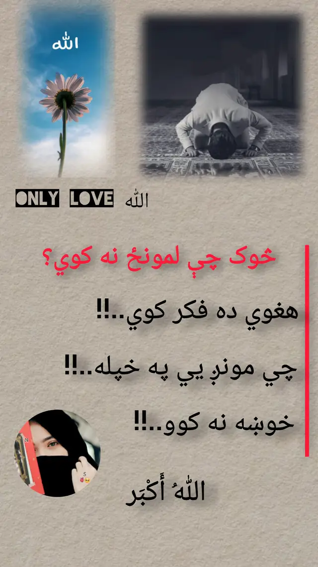 #شاشة_سوداء🖤 #پشتون #🇦🇫 #unfrezzmyaccount #foruyoupage unfrezzmyaccount viwesproblem fyp viral foruyou foruyoupage @🕊️زویہ 🌹🕊️ 