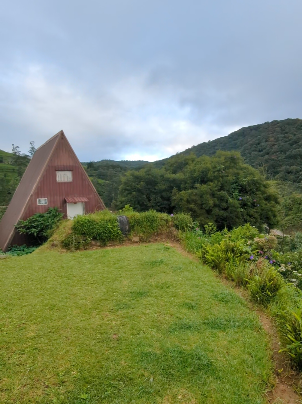 Tiny cabin, big serenity💚 #nature #mountains #cabana #ambewela #nuwaraeliya