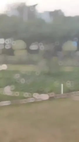 RAB MY HAR SA LARI 🔥👈#forupage @A͟𝗛_𝗚 A͟ 𝗡 D͟ 𝗔🦅سا قی🇳🇱 @Bagi🦅 @♛ 𝐑 𝐎 𝐋 𝐄 𝐗 ♛ @⚔️BACHA⚔️ @MALANG✔ @gull sarkar @Gull🌺 @iBرAحim SحAح 😇🥰 @Malik Zia Ullah @Arif Khan yousafzai 👑 