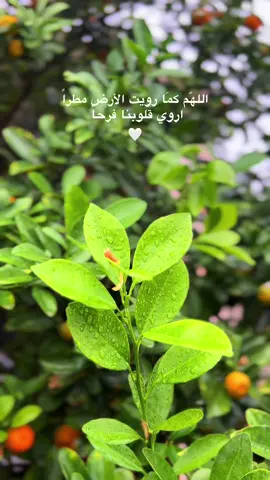 يالله 🩶#عبارات_جميلة🦋💙 #تصويري📷 #اكسبلورexplore #لايك__explore___ 