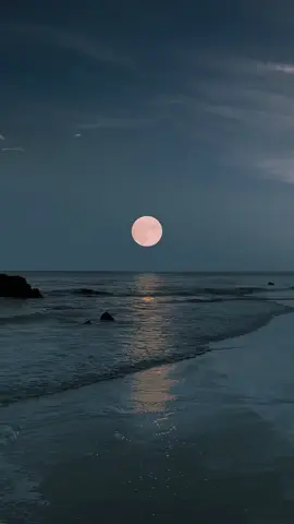 #محمدالصبيحي 