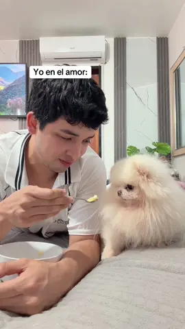 Perreza no quiere amor 🤕🥴 #comedia #parati 