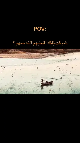 شوكت نلكه النحبهم النه حبهم ؟🤍#عباراتكم_الفخمه📿📌 #عباراتكم_الفخمه🦋🖤🖇 #عبارات_جميلة_وقويه😉🖤 #جنوب_الموصل_قرية_السفينة #تصويري_احترافي_الاجواء👌🏻🕊😴 