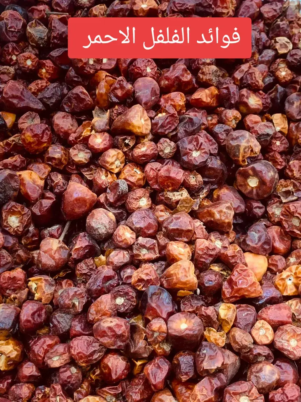 يتمتع الفلفل الأحمر الحار بفوائد صحية عديدة، أهمها قدرته على تسكين الألم، تحسين صحة القلب والجهاز الهضمي، المساعدة في فقدان الوزن، ومقاومة الالتهابات والبرد. تساهم هذه الفوائد بشكل رئيسي بفضل مركب 