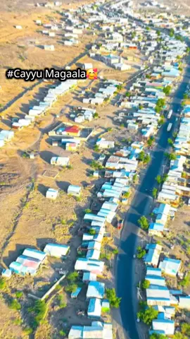 #CapCut Anu afourdak baxa kinniyo #cayyu #afartiktok🇩🇯🇪🇷🇪🇹 #doobi 