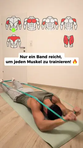 Nur ein Band reicht, um alle Muskeln gezielt zu trainieren. Ein einfaches und effektives Ganzkörpertraining für überall 🔥  Nimm dir ein Band und leg los 💪#resistancebandworkout #workoutfromhome #muskelaufbau #fullbodyworkout 