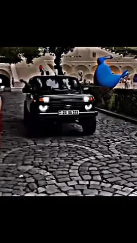 •😍❤️‍🔥• Rekkk qcekk👍🫶 #rekk #musicarmani #rekqcekk 