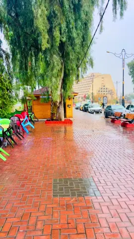 #mustafa_n_hamoshi #تصويري_احترافي_الاجواء👌🏻🕊😴 #مدينة_الموصل #تصويري📸 #بالعافية_عليكم_الفيديو 