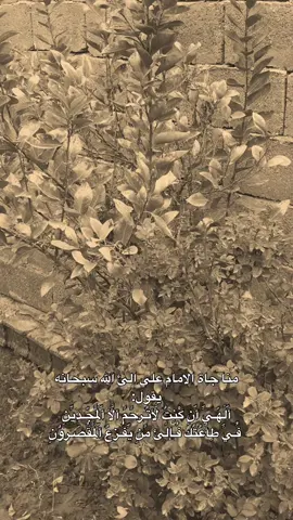 #شاركوا🤎👇  .  .  .  .  #مشاهير_تيك_توك #العراق🇮🇶 #متابعه 