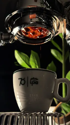 اختلفنا مين يحب الثاني اكثر #محمد_عبده #اغاني #بدون_موسيقى #اسبريسو #your_coffee 