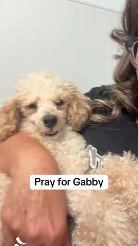 Pray for Gabby! We will keep you posted! 