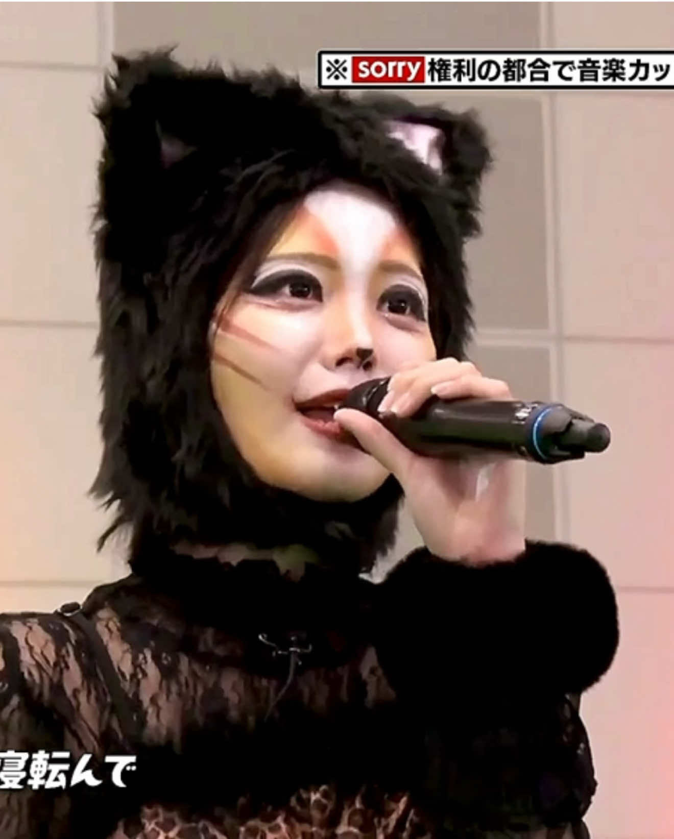 乃木坂CATS、音入りで！ #中西アルノ #菅原咲月 #増田三莉音 #川端晃菜 #乃木坂46 