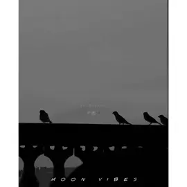 🍂🩹🖤 #poetrylover #virelvideo #poetrystatus #foryoupage #zardpattonkaband🍂 