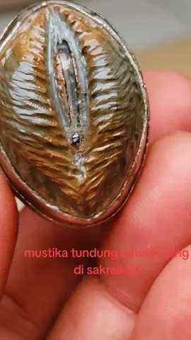 #sakraltundungbawuk #