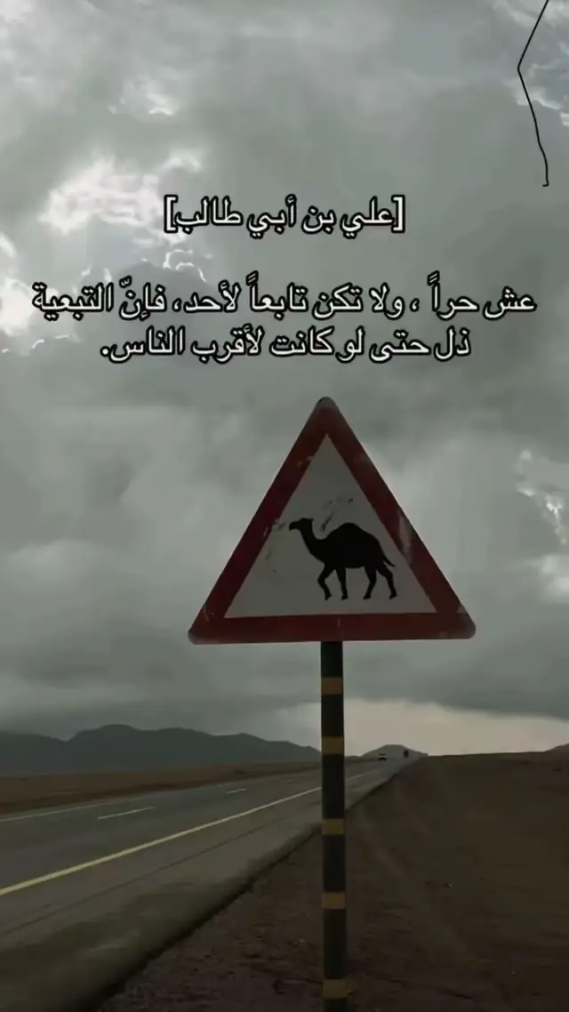 #لا_اله_الا_الله_محمد_رسول_الله #سبحان_الله_وبحمده_سبحان_الله_العظيم 