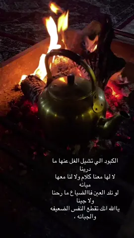 #شيلات #عبدلااله_العالي#اكسبلور #اكسبلورexplore 