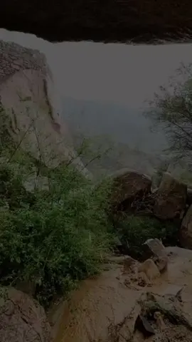 #إسلاميات #نصائح #دعاء #التقويم_اليومي 