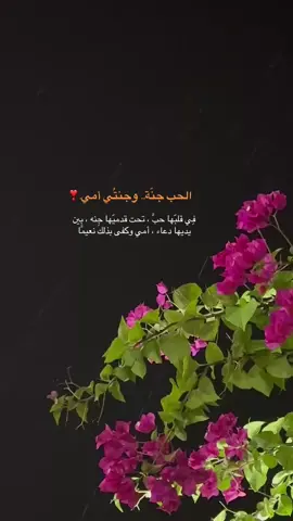 #أمــــ♡ــي_جــنتي❤️ 