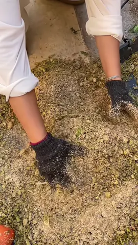 Máy xay rau củ thức ăn chăn nuôi thông minh #mayxaythucanchannuoi #mayxayraucuchannuoi #dungculamvuon #giadungtienich 