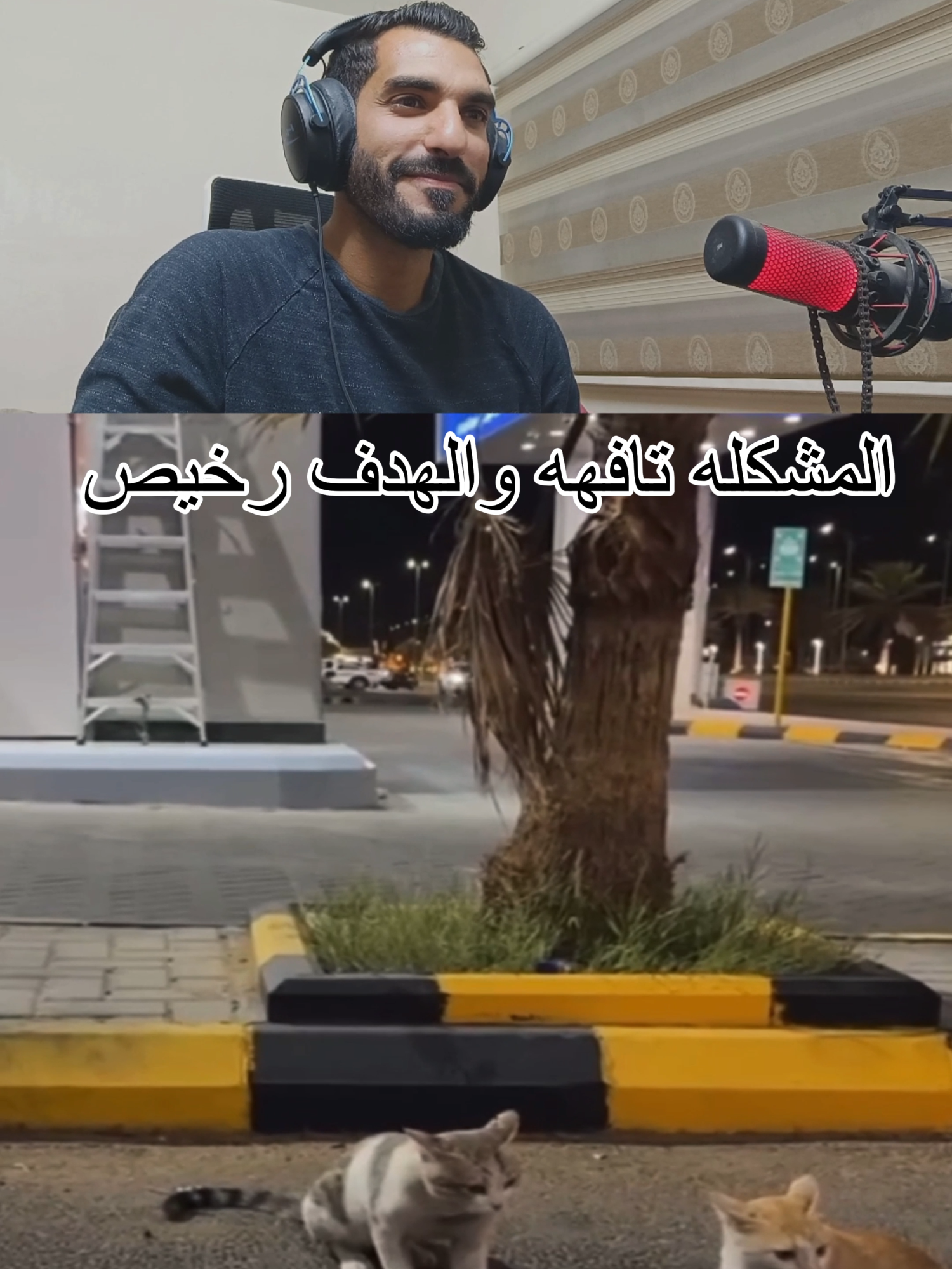 المشكله تافهه والهدف رخيص 😂 . . #قطط #cat #كوميدي #comedia #كوميديا #tranding #explorar #fyp #اكسبلور #trind