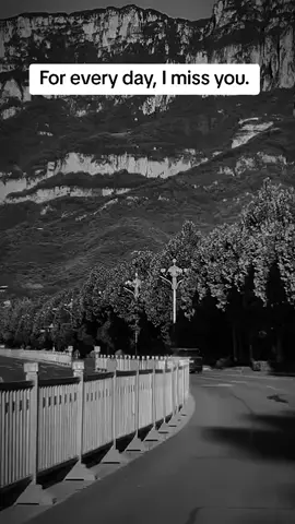 For every day, I miss you.#foryou #foryoupage #fyp #mindset_motivation #USA 