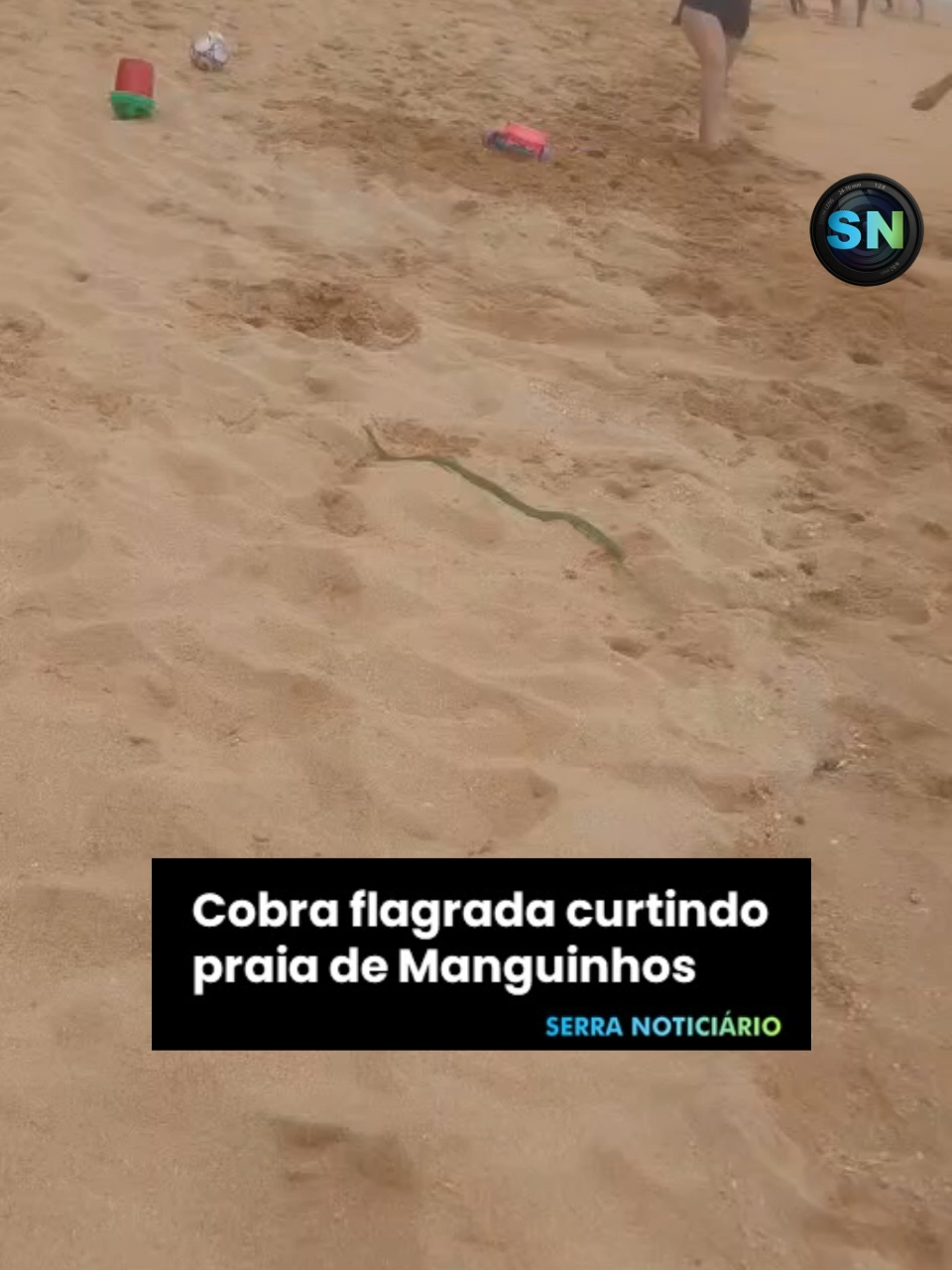 Cobra flagrada curtindo praia de Manguinhos Apesar do céu nublado, o calor continua dando as caras na Serra e muitos moradores aproveitaram este domingo para curtir as praias do município. Entre as curiosidades do dia, uma cobra também apareceu para “aproveitar” a areia da praia de Manguinhos, conforme registrado por um leitor do Serra Noticiário. De acordo com o relato, no momento em que o animal surgiu, banhistas se assustaram e saíram correndo. Ainda de acordo com o leitor, apareceu uma pessoa mais corajosa que recolheu a cobra e a devolveu à restinga, afastando o animal da faixa de areia e acalmando quem estava por perto. 📲 Mais notícias pelo link na bio @serranoticiario