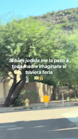 Imaginate si tuviera feria#positiva #lugares #norte #phoenix 😊❤️