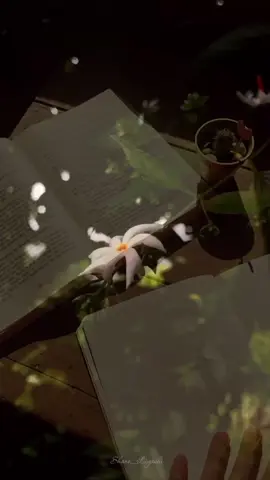 වරද් (නොවැම්බර් 17) 🥺💔 සේපාලිකා by Cherry Minshi #wattpad #foryou #fyp #Shano_Liyashi #CapCut 