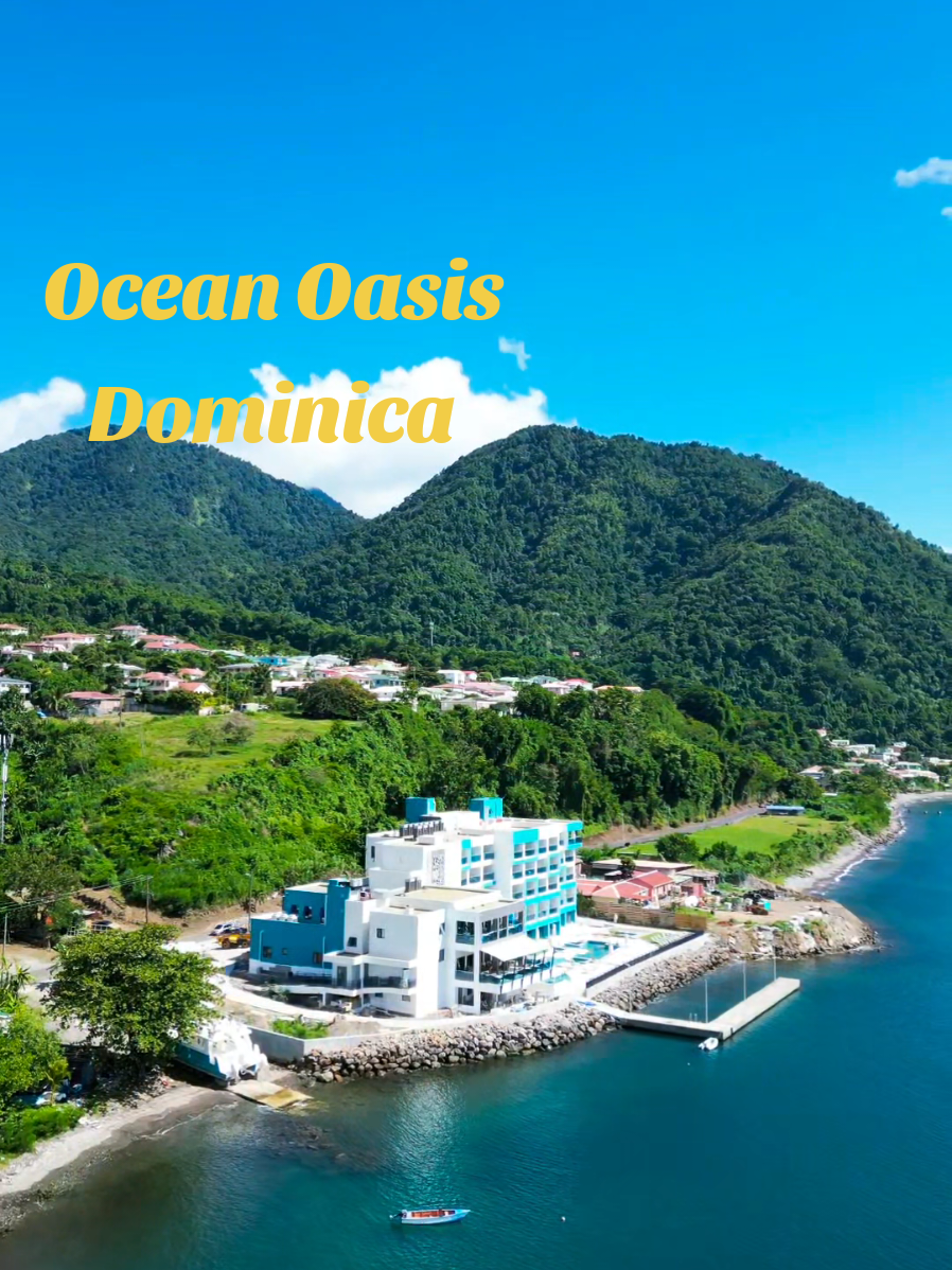 Ocean Oasis Hotel Dominica #4starhotel #hotelsindominica #oceanoasis #caribbeanblue #Dominica 