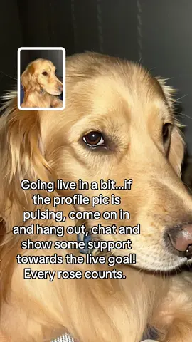 #goinglive #goinglivesoon #livegoals #tiktokpartner #CasaTikTok 