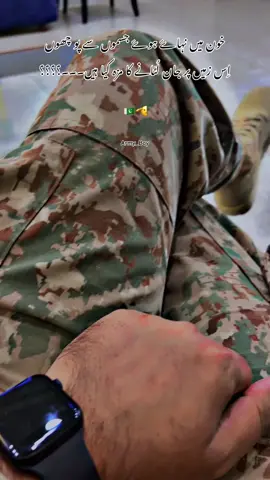 🇵🇰🫡#fypviralシ #شاعری_سٹیٹس🥀 #pakistanzindabad #pakarmyzindabad🇵🇰 #islamabadian❤️ 