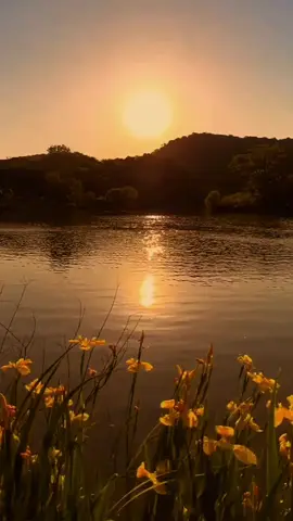 سدو الماي الماي ياضوه عيوني...😔🤎 #تراث  #التراث_الحسيني  #حمزه_الصغير  #fyp 