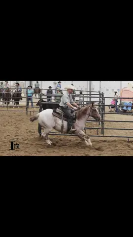 Celebrating a huge milestone for this horse, my clients, my family and my business! 🥂🤩  Our boy M+M hit 1 MILLION views!  I can’t thank the Caldeira family enough for the opportunity to showcase this special gelding and I can’t wait to see where this year takes us!  #MonsterMerle #IHR #ranchsorting #rodeophotography @p_henrique 