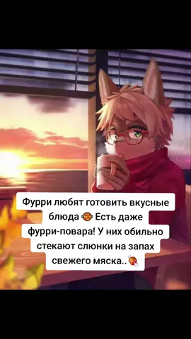 #пушистики #фурри #повар #любовь 