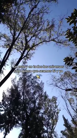 En este y en todos los universos solo quiero que seamos tú y yo #dedicatorias #paracompartir #letras #frases #amor 