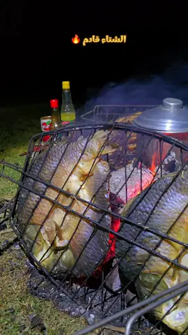 طلعات الشتاء 🔥#طلعات #الشتاء #كشته #كشتات #حطب_ونار🔥 