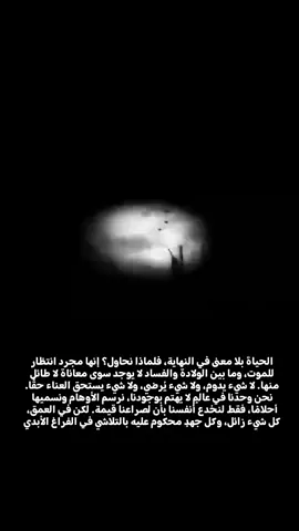 #البير_كامو #نيتشه ##fyp #شوبنهاور #fyp 