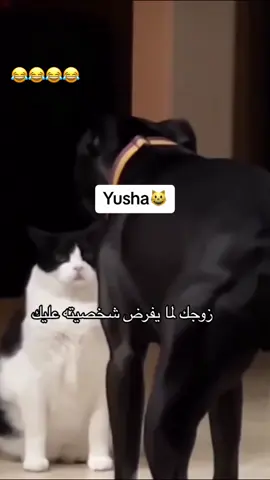 #onthisday #الشعب_الصيني_ماله_حل😂😂 #اكسبلور #viral #explore 