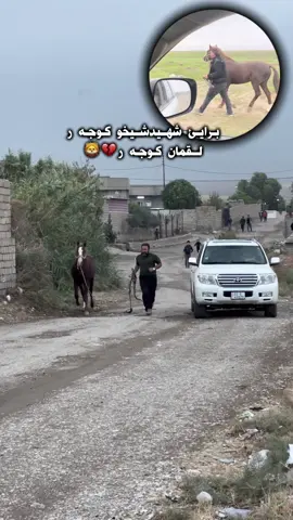 💔😭#dohok_zaxo_akre_semel 